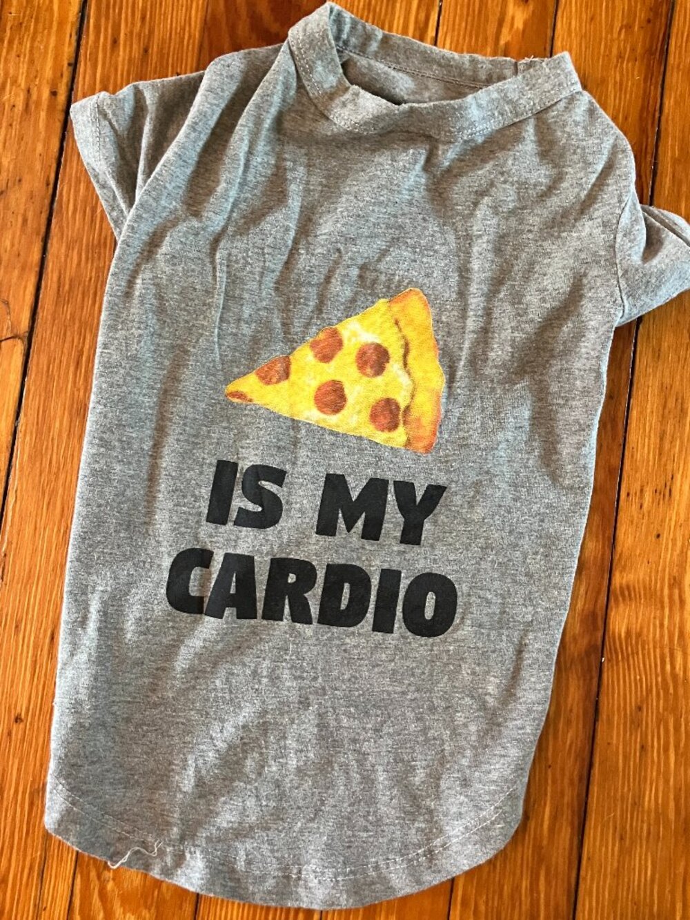 🍕 Fabdog "Pizza Is My Cardio" Dog T-Shirt | Size 16 | Funny Graphic Tee 🐶❤️